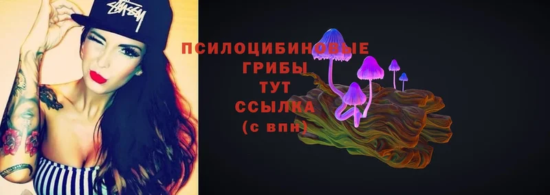 Псилоцибиновые грибы Psilocybe  наркота  Нижний Ломов 